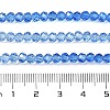Transparent Painted Glass Beads Strands LS-DGLA-A034-T3mm-A01-3