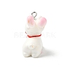 Easter Theme Opaque Resin Pendants RESI-I336-01P-04-3