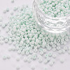 8/0 Opaque Glass Seed Beads X1-SEED-S048-N-007-1