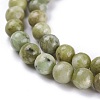Natural Idocrase Beads Strands G-N165-7-2-2