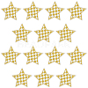 20Pcs Polyester Clothing Patches DIY-CY0002-35C-1