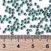 TOHO 11/0 Round Beads X-SEED-TR11-0748-4
