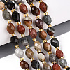 Natural Picture Jasper Beads Strands G-N342-35-8x6-09-1
