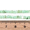 Natural Freshwater Shell Dyed Beads Strands SHEL-T020-29B-03-4