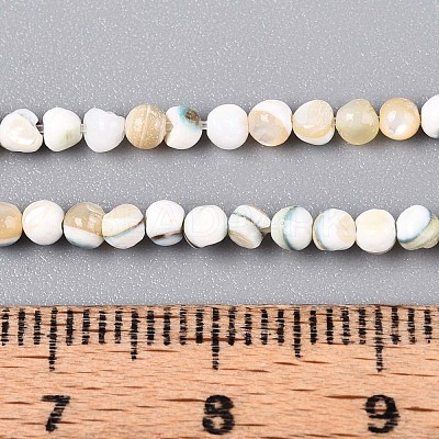 Luminous Natural Seashell Shell Beads Strands SSHEL-N040-05-1