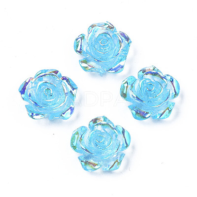 Transparent Resin Cabochons CRES-N030-001B-02-1