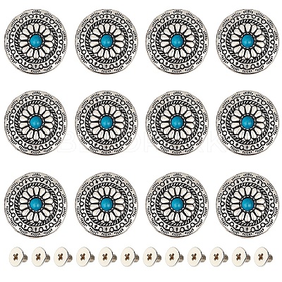 12 Sets Alloy & Imitation Turquoise Craft Solid Screw Rivet FIND-GF0004-24-1