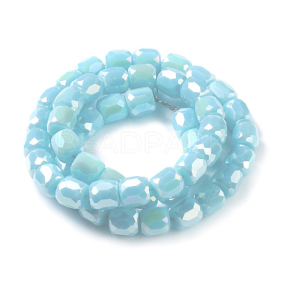 Electroplate Opaque Glass Beads GLAA-F108-10A-04-1