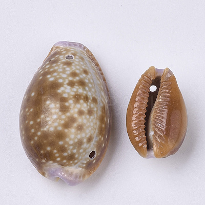 Natural Cowrie Shell Links connectors SSHEL-N034-22-1