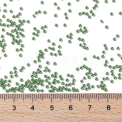 MIYUKI Round Rocailles Beads X-SEED-G009-RR0431-1