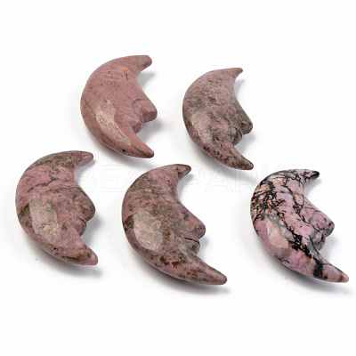 Natural Rhodonite Beads G-T132-018-1
