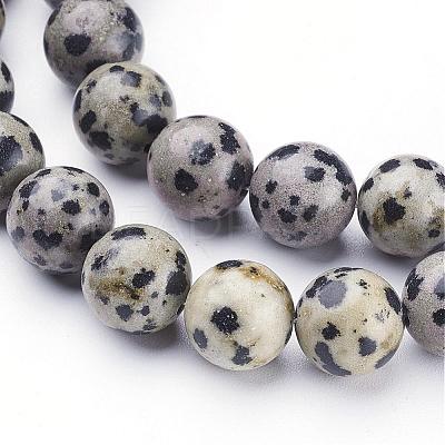 Natural Dalmatian Jasper Beads Strands GSR10mmC004-1