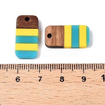 Epoxy Resin & Walnut Wood Pendants RESI-N039-121C-1