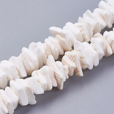 Natural Sea Shell Beads Strands X-BSHE-K012-08E-1