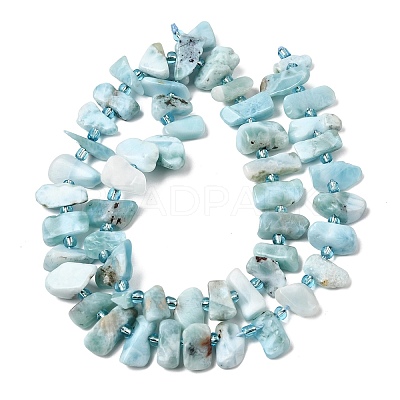 Natural Larimar Beads Strands G-L649-A08-01-1