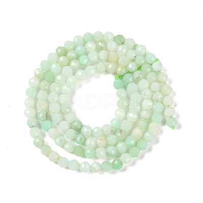 Natural Chrysoprase Beads Strands G-P542-A04-02-1