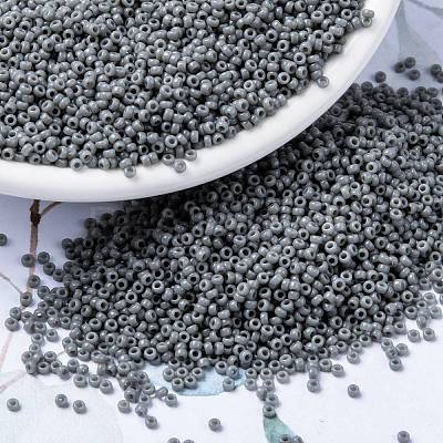 MIYUKI Round Rocailles Beads SEED-G009-RR0499-1