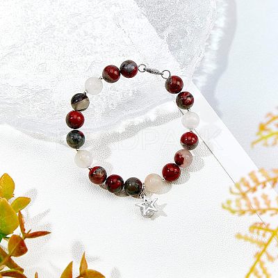 2 Strands Natural African Bloodstone Beads Strands G-OC0002-42-1