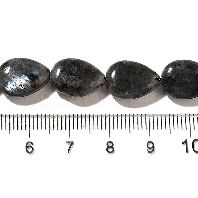 Natural Larvikite Beads Strands G-I377-A10-1