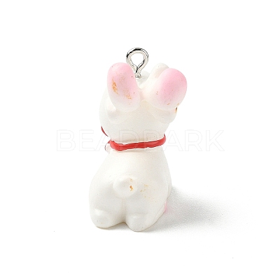 Easter Theme Opaque Resin Pendants RESI-I336-01P-04-1