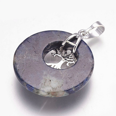 Natural Sodalite Pendants G-F573-C14-1