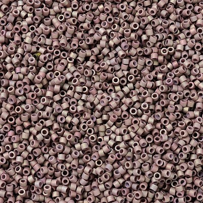 MIYUKI Delica Beads SEED-X0054-DB1061-1