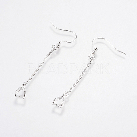 Brass Earring Hooks LS-KK-I618-26S-RS-1