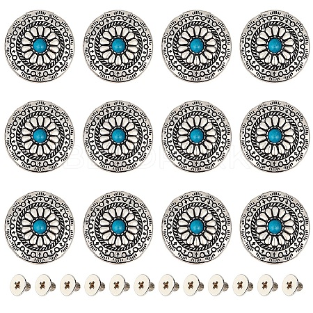 Gorgecraft 12 Sets Alloy & Imitation Turquoise Craft Solid Screw Rivet FIND-GF0004-24-1