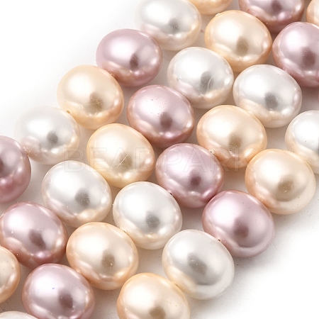 Shell Pearl Beads Strands BSHE-F013-01Q-1