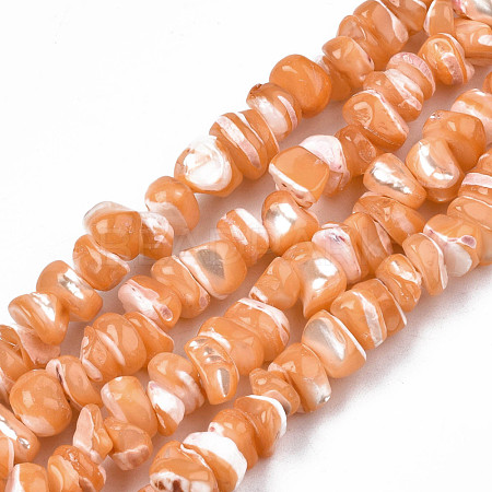 Natural Freshwater Shell Beads Strands SHEL-N003-23-B06-1