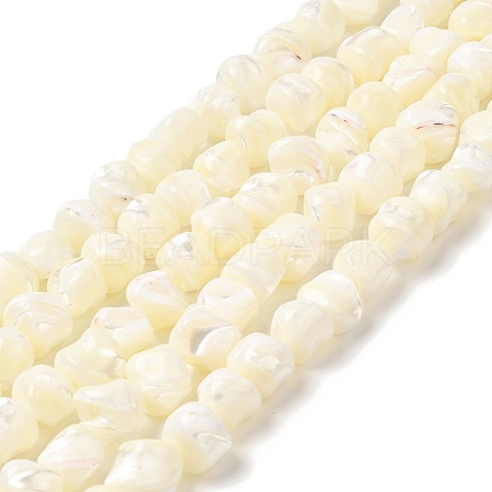 Natural Trochid Shell/Trochus Shell Beads Strands SHEL-F007-01-1