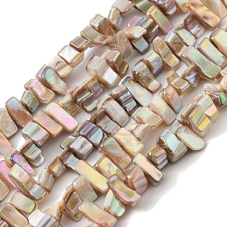 Natural Freshwater Shell Beads Strands BSHE-H018-07A-1