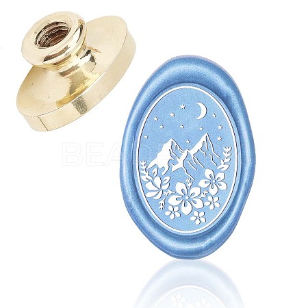 Wax Seal Brass Stamp Head AJEW-WH0213-007-1