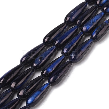 Natural Freshwater Shell Beads Strands SHEL-A004-03E-1