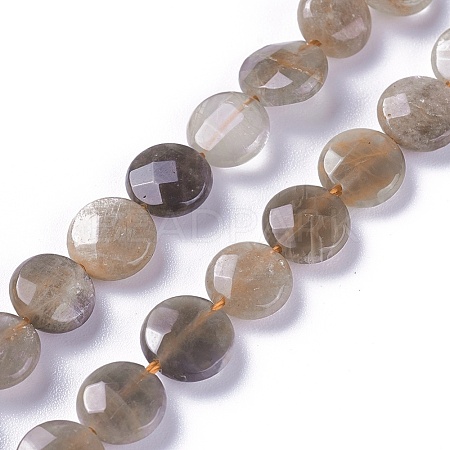Natural Black Sunstone Beads Strands G-L492-06A-06A-1