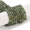 Natural Green Apatite Beads Strands X-G-G105-A01-03-1