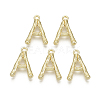 Alloy Pendants PALLOY-S137-001A-NR-1
