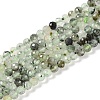 Natural Prehnite Beads Strands G-G139-A17-03-1