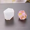 Silicone Dice Molds X-DIY-L021-26-3