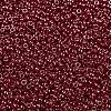 MIYUKI Round Rocailles Beads SEED-G009-RR0425-3