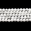 Natural Howlite Beads Strands X-G-E608-A01-B-2