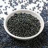 MIYUKI Round Rocailles Beads X-SEED-G008-RR2447-2