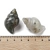 Natural Bloodstone Carved Figurines DJEW-L023-H03-3