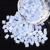 6/0 Two Cut Glass Seed Beads SEED-S033-08B-03-1