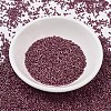 MIYUKI Delica Beads SEED-MY11-DB2308-2