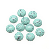 Synthetic Turquoise Cabochons X-G-R416-12mm-44-1