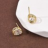 Brass Micro Pave Clear Cubic Zirconia Stud Earrings EJEW-C174-02G-G-3