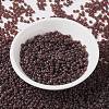 MIYUKI Round Rocailles Beads SEED-X0055-RR2400-2