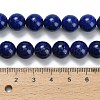 Natural Lapis Lazuli Beads Strands G-L642-B05-10mm-5