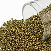 TOHO Round Seed Beads SEED-JPTR15-0513F-1